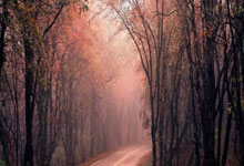 汉诺威36岁门将齐勒重返青训母队科隆的简单介绍